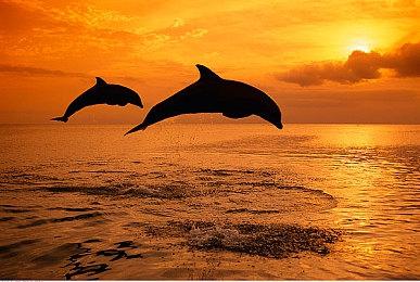 零件涨价 任天堂宣布上调日本地区Switch维修价格