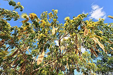 《最终幻想14》已销售一空甚至包括SE商城数字版